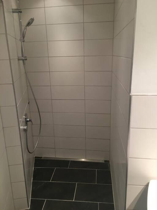 Altbautraum Am Gaertnerplatz 120 M2 Apartment Munich